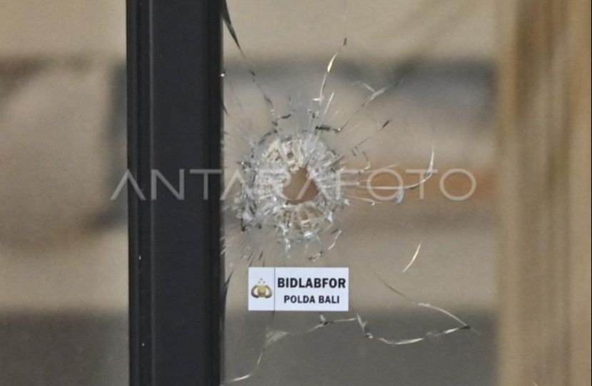 两外国游客巴厘岛遭枪击一死一重伤