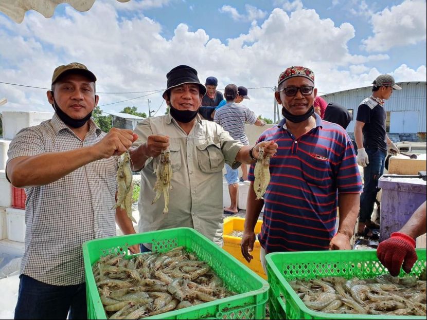 中国企业打造中印尼两国合作新模式