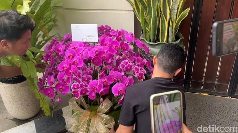 普拉博沃赠送紫色兰花为佐科庆生