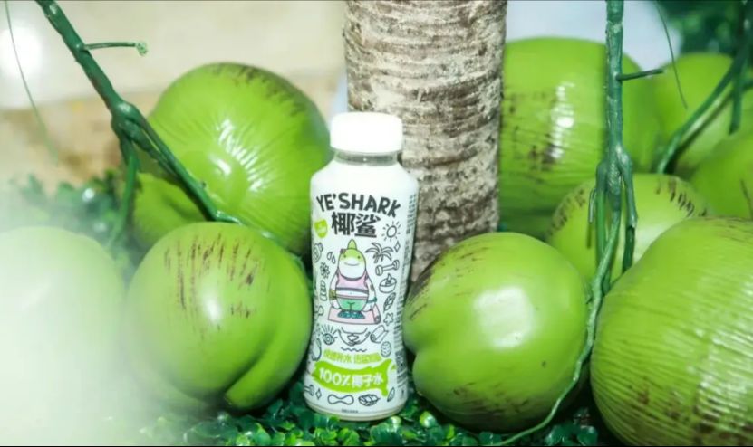 中资食品企业在印尼建设椰子加工项目