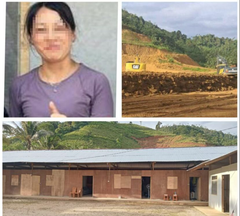 多名中国公民涉嫌非法采矿被调查