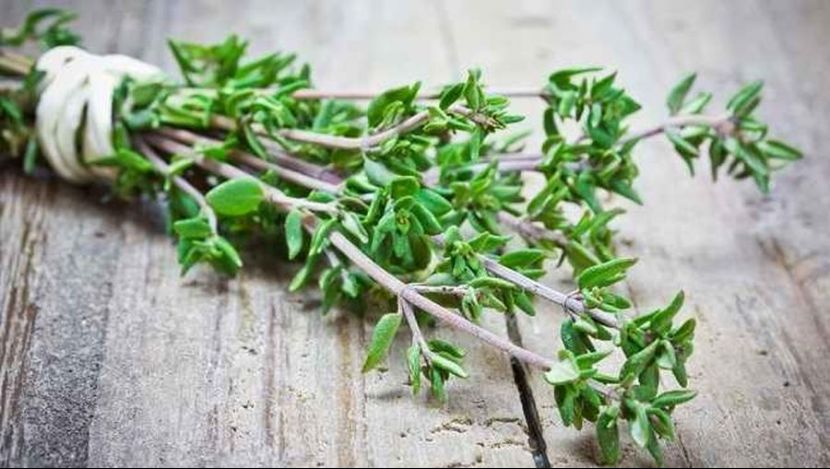 印尼百里香出口激增成全球天然香料新星