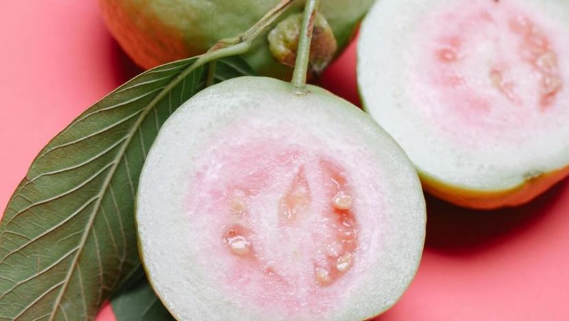 印尼番石榴产业的发展现状