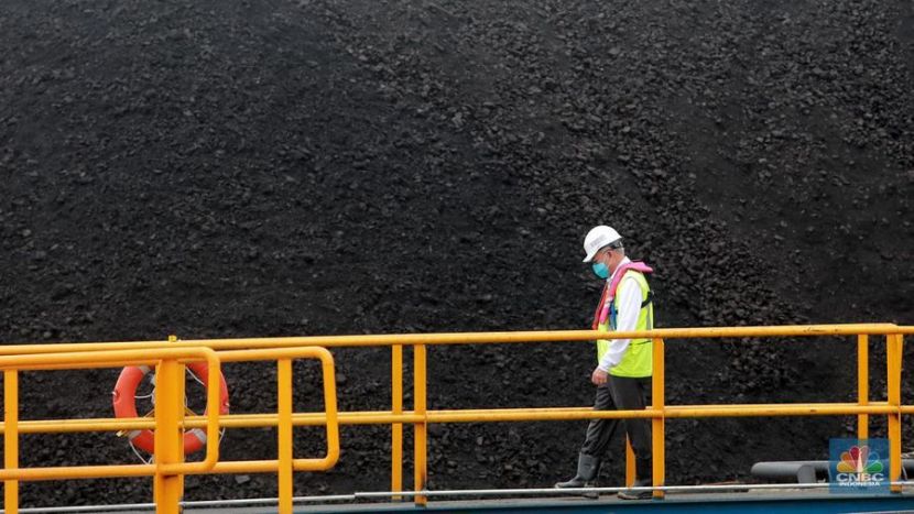 五大煤炭系富豪资产变动印尼矿业资本版图再洗牌