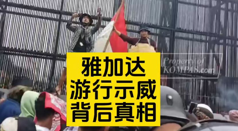 雅加达游行示威背后的真相