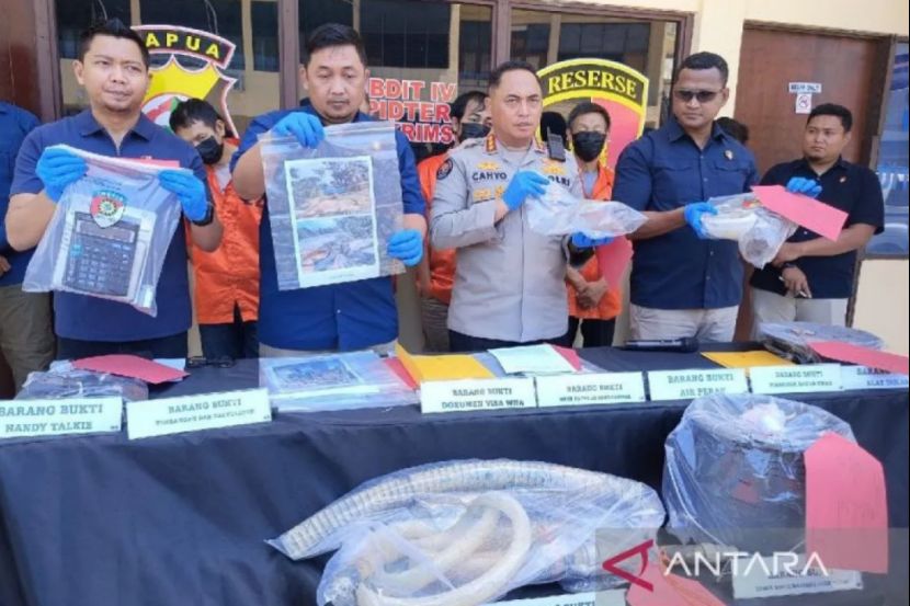 四名中国人涉嫌非法采矿在巴布亚被捕