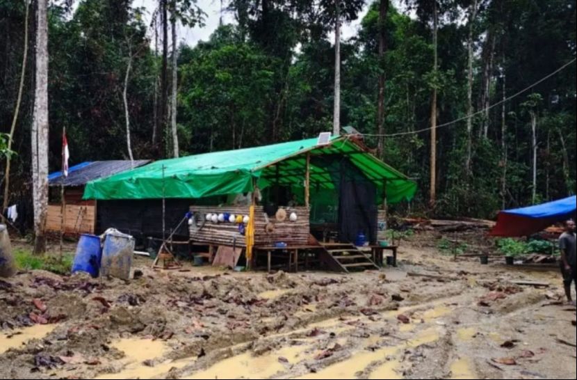 打击非法采矿！印尼警方再拘一名中国籍投资者