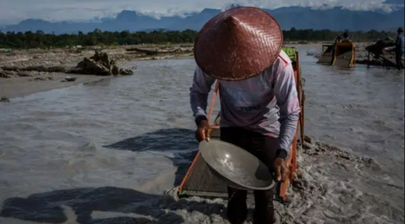 中国公民涉嫌参与巴布亚非法采矿部分嫌疑人仍在逃