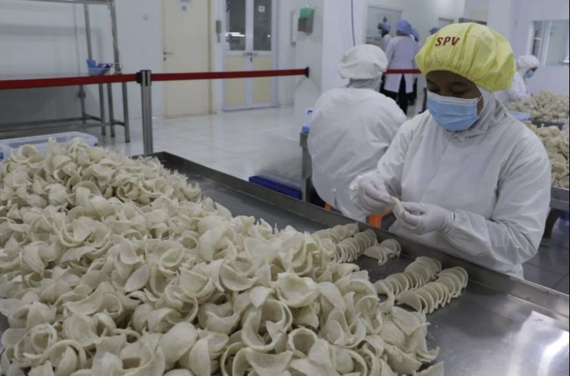 11印企被中国暂停出口燕窝资格