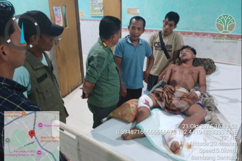 印尼廖内省一男子遭两只老虎袭击竟成功脱险