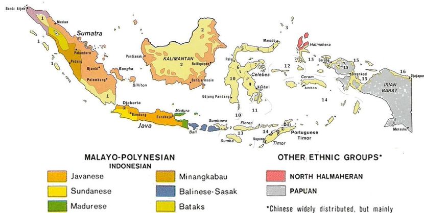 王掌柜深度解读：印尼2040矿业下游化的机会