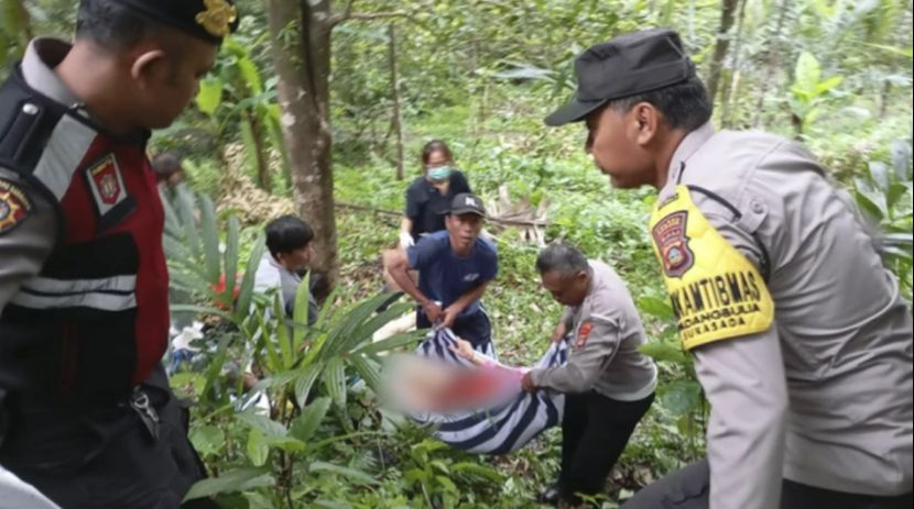 巴厘岛车祸司机弃车逃逸，救援迟缓、医院拒治