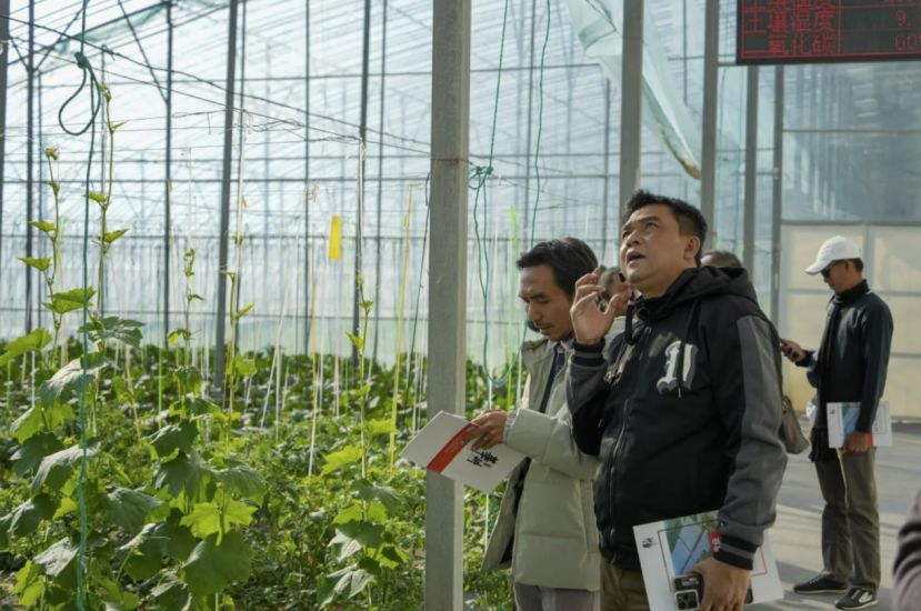 印尼村长访华学习先进经验