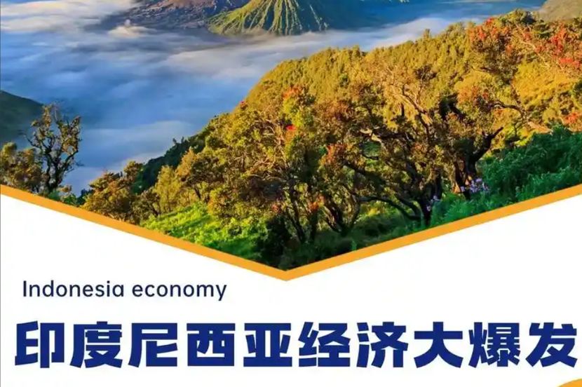 普拉博沃：印尼经济路线必须转向