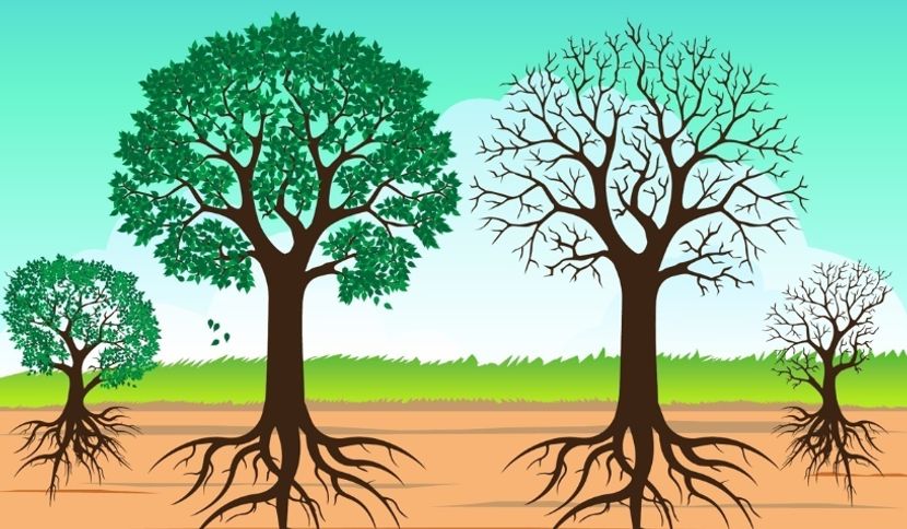 掌柜解读印尼经商：别靠 “降维” 靠 “扎根”