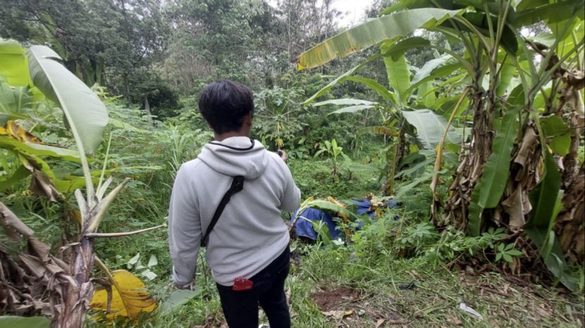 布罗莫山路巴士坠谷，中国游客夫妇轻伤脱险