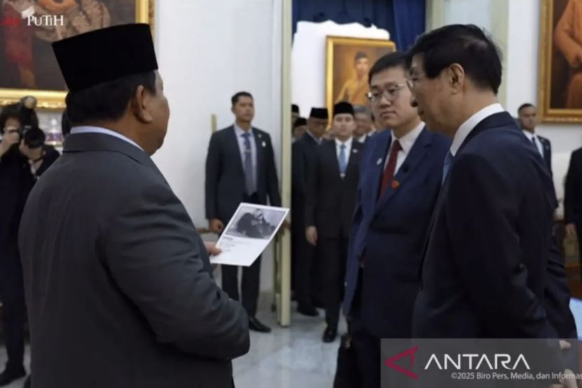 普拉博沃向中方分享新生熊猫趣事