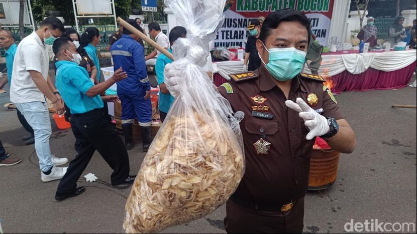 毒品藏身零食中，茂物县检察院集中销毁涉毒证物