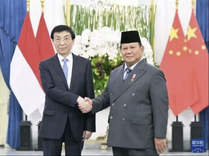 全国政协主席对印尼进行正式友好访问