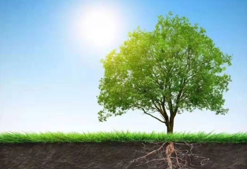 在印尼做生意，怎么才算真正扎下根？