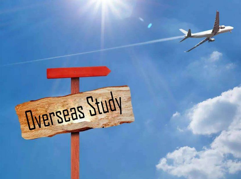 新兴国留学，抢占出海人才红利
