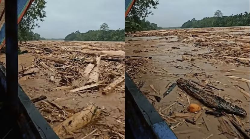 印尼环境部撤销8企环评许可追责森林破坏行为