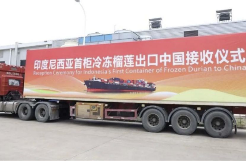 印尼首批冷冻榴莲正式进入中国市场