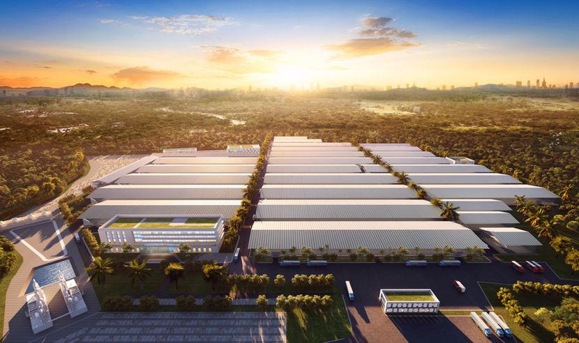 机会来临，王掌柜带你“玩转”印尼工业园区