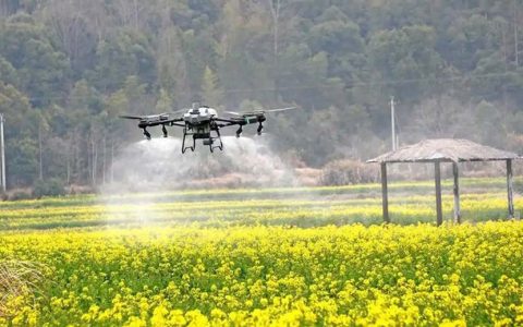 印尼总统下田操控无人机！农业现代化按下加速键