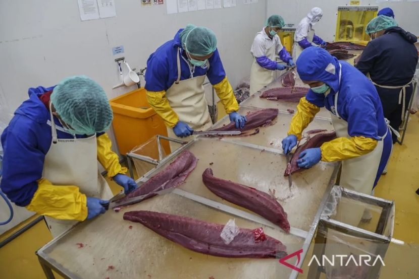 印尼57家水产加工商获准向中国和土耳其出口