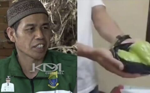 五旬男子为百岁母亲偷瓜被活活打死