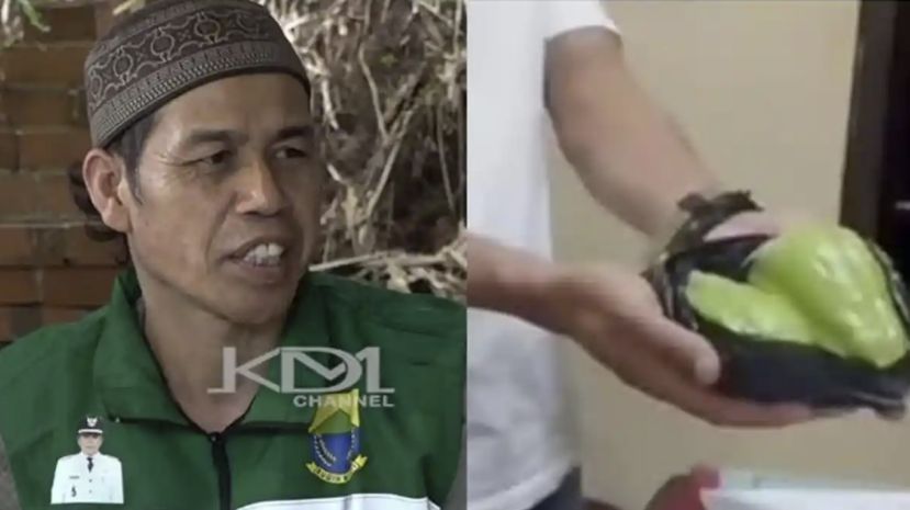 五旬男子为百岁母亲偷瓜被活活打死