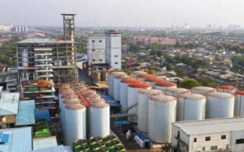 资产近20亿却被判破产，赞宇科技子公司印尼遭“黑天鹅”