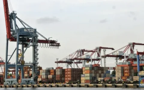 印尼对中印泰BOPET薄膜征收反倾销税