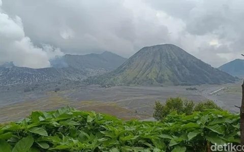 布罗莫火山关闭至4月12日上午10时