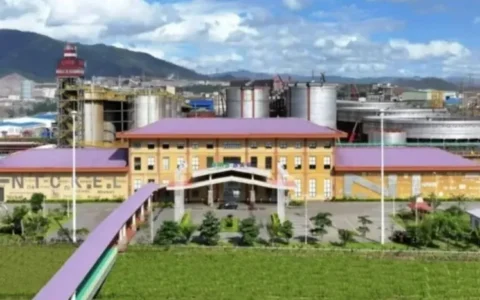 中资镍企助力印尼跻身全球新能源电池供应链