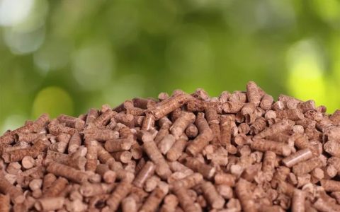 掌柜解读：2026印尼生物燃料中企如何掘金