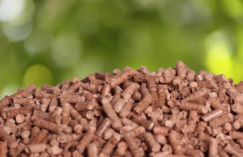 掌柜解读:2026印尼生物燃料中企如何掘金